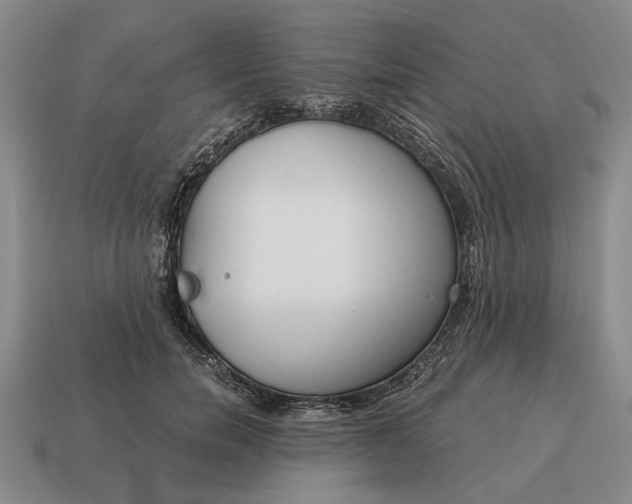 X0000115080750200911101502