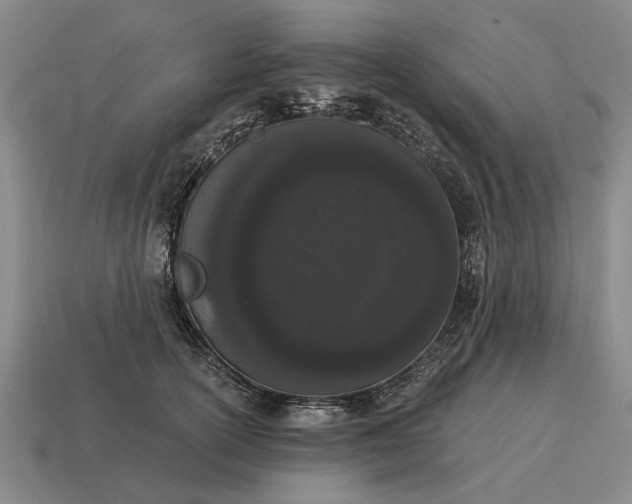 X0000115080754200911101502