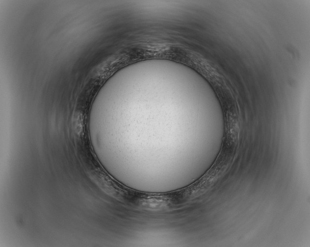 X0000115080758200911101502