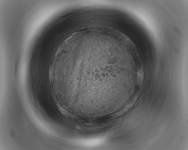 X0000115080765200911101503