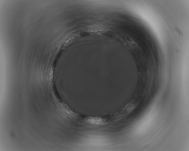 X0000115080767200911101503