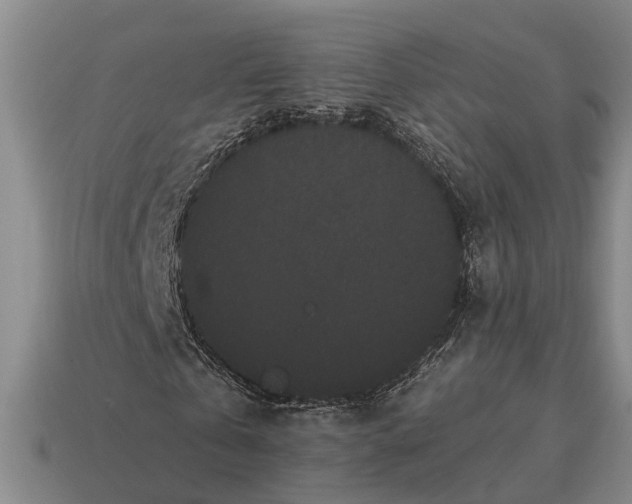 X0000115080769200911101502