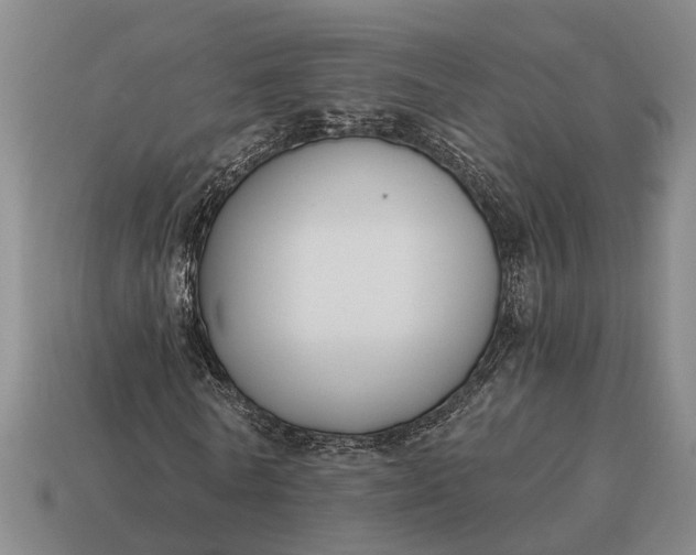 X0000115080770200911101502