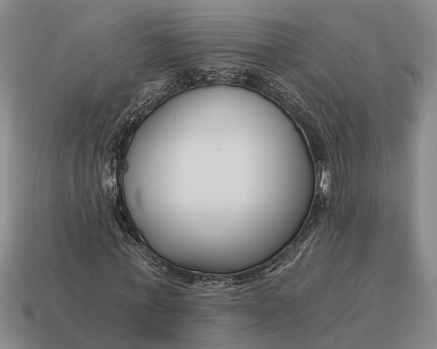 X0000115080771200911101502