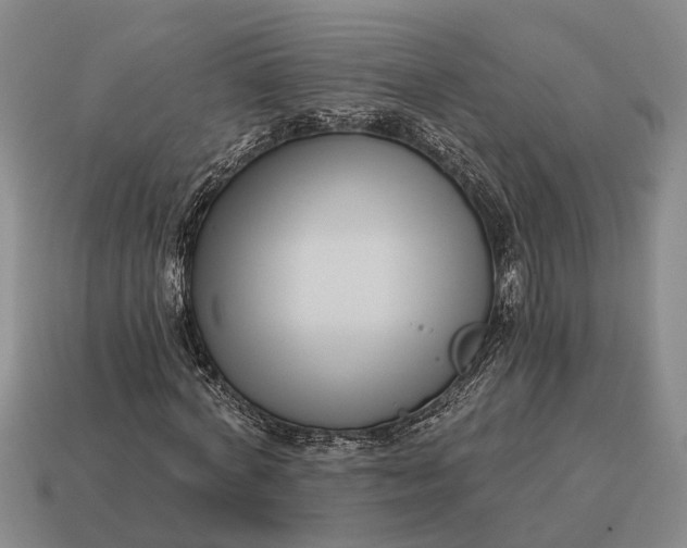 X0000115080772200911101502