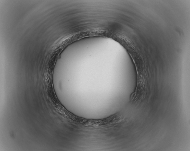 X0000115080773200911101502