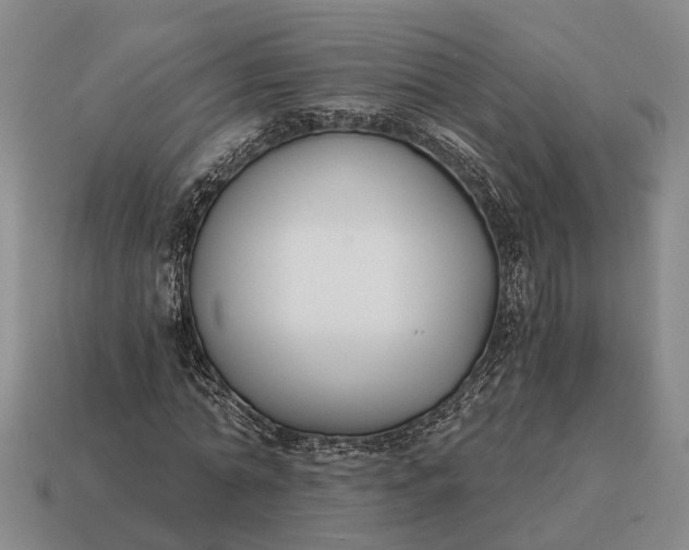 X0000115080774200911101502