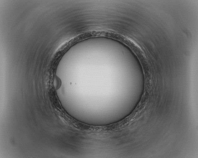 X0000115080775200911101502