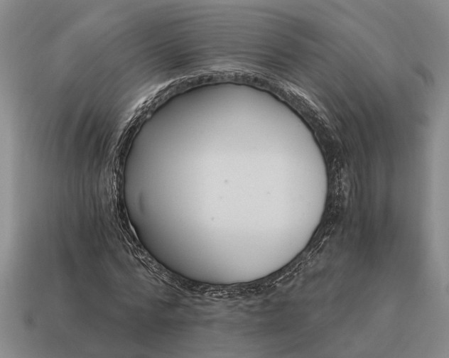 X0000115080776200911101502