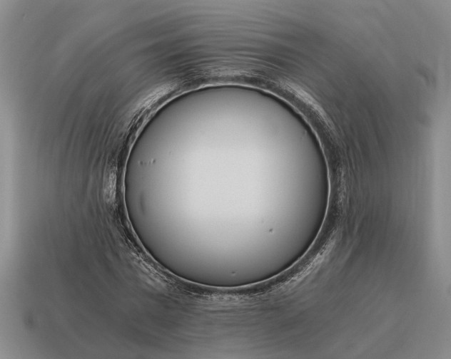 X0000115080777200911101502