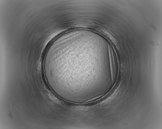 X0000115080779200911101502