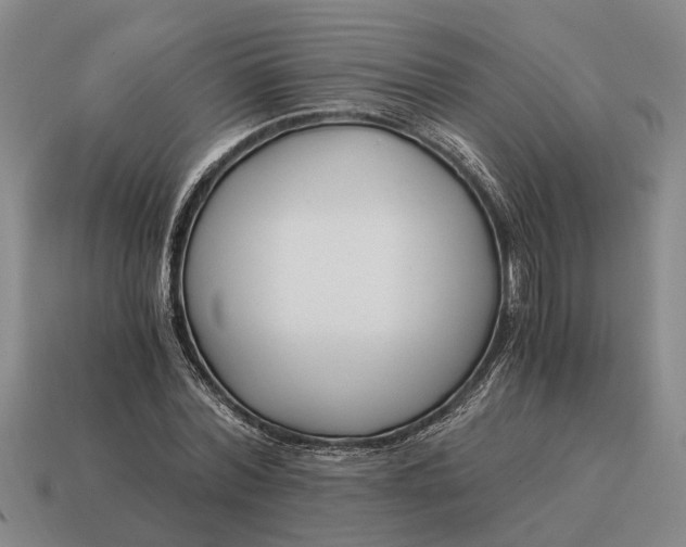 X0000115080780200911101502