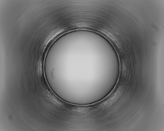 X0000115080782200911101502