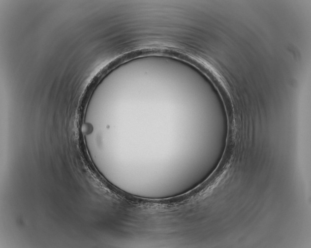 X0000115080783200911101502