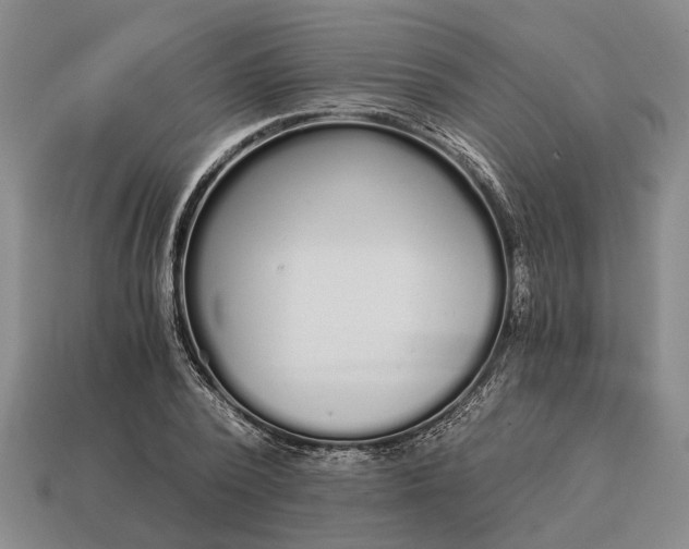 X0000115080784200911101502