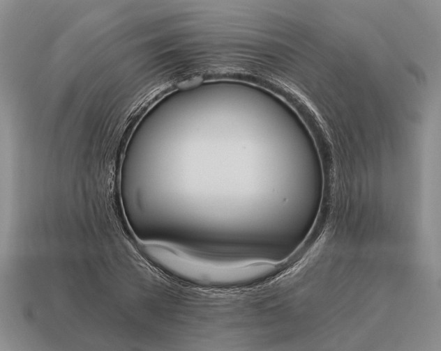 X0000115080785200911101502