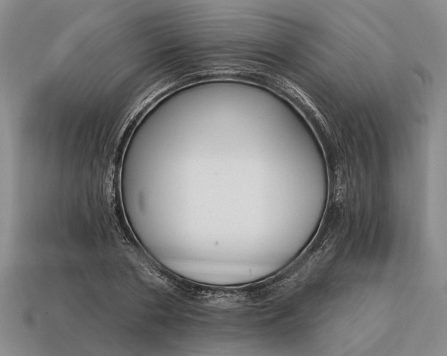 X0000115080786200911101502