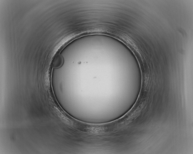 X0000115080789200911101502