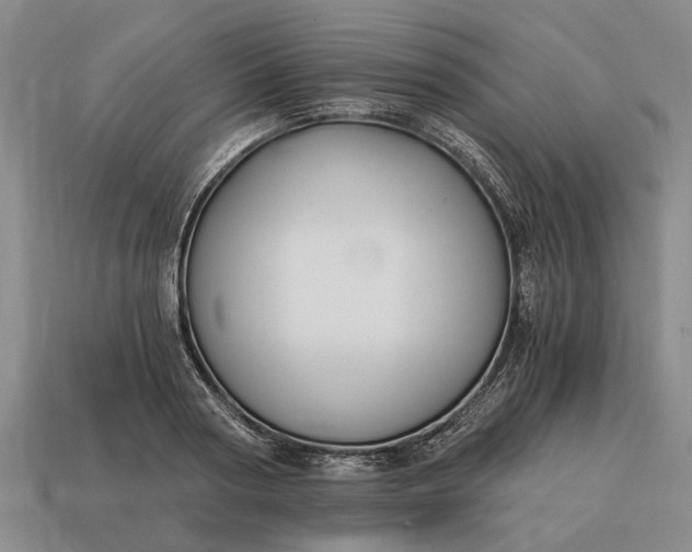 X0000115080794200911101502