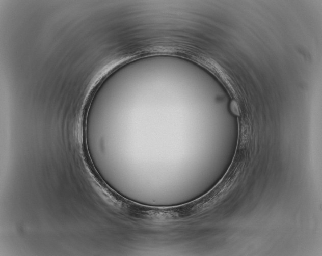 X0000115080795200911101502