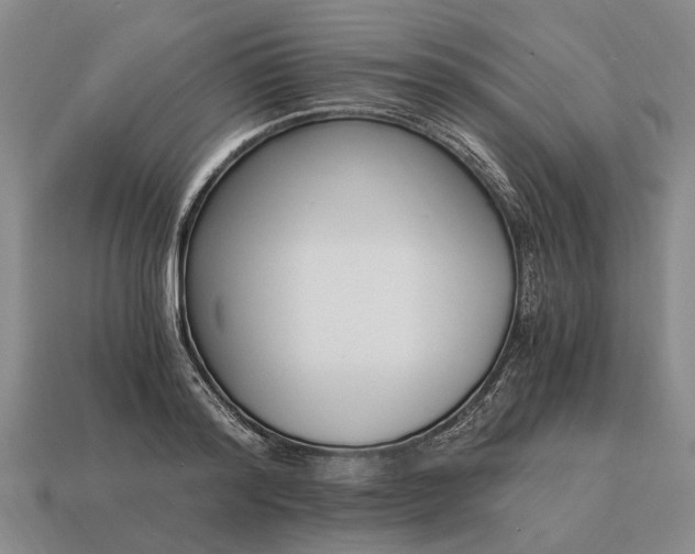 X0000115080796200911101502