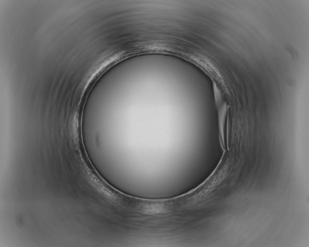 X0000115080798200911101502