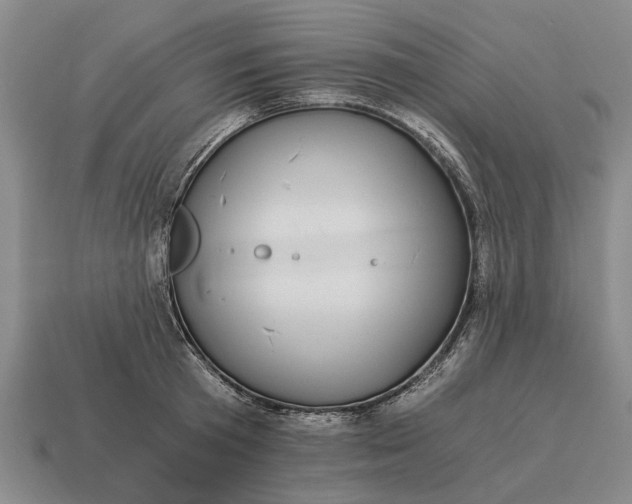 X0000115080801200911101502