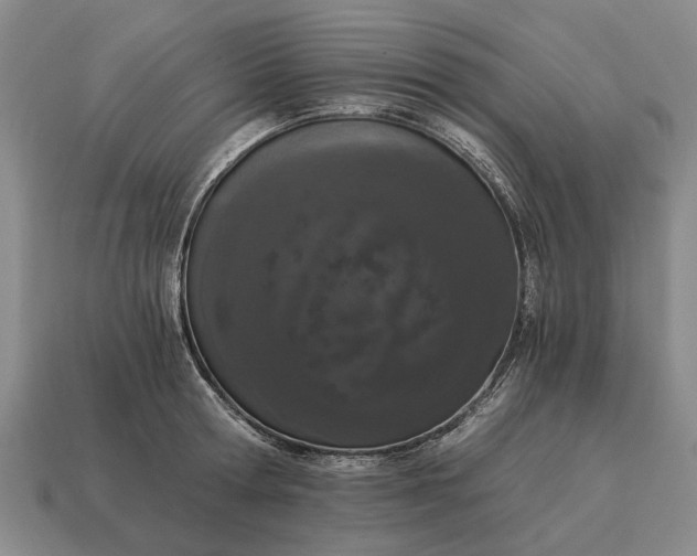 X0000115080802200911101502