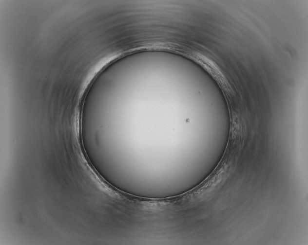 X0000115080804200911101501