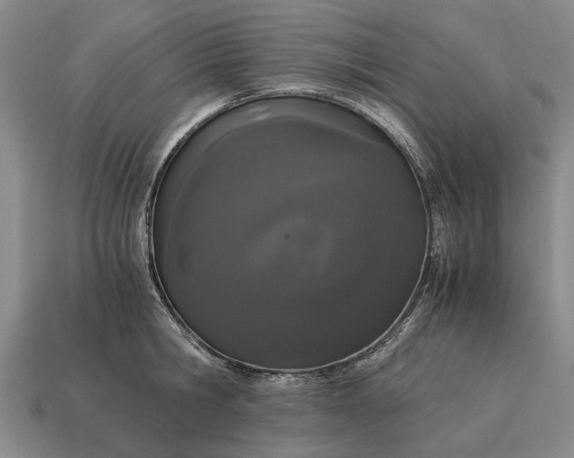 X0000115080806200911101501
