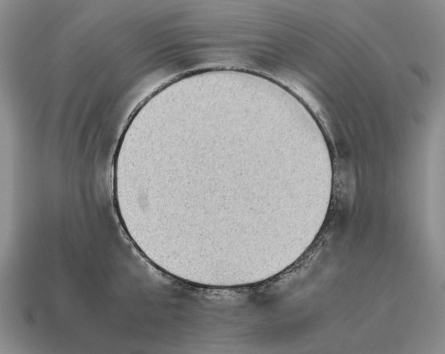 X0000115080807200911101501
