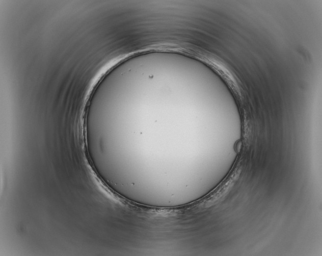 X0000115080808200911101501