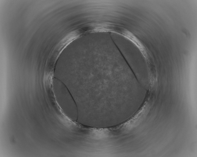 X0000115080809200911101501