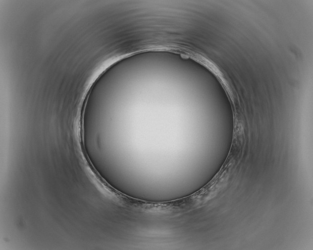 X0000115080811200911101501