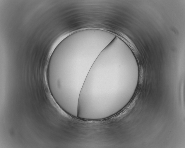 X0000115080812200911101501