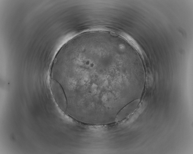 X0000115080813200911101501