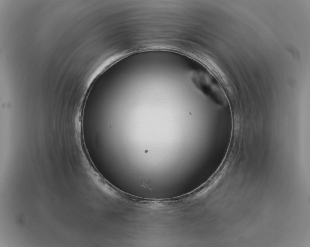 X0000115080814200911101501