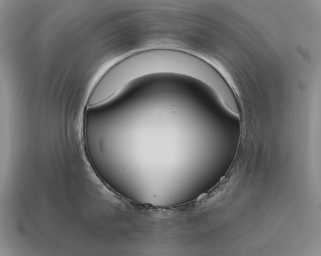 X0000115080815200911101501