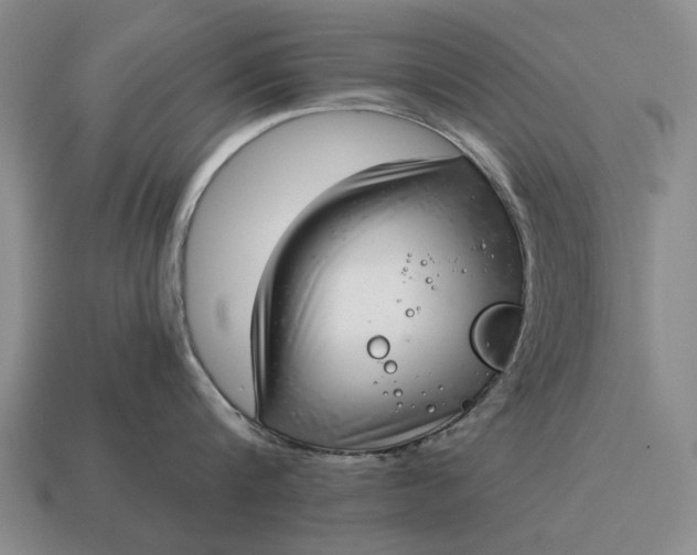 X0000115080816200911101501