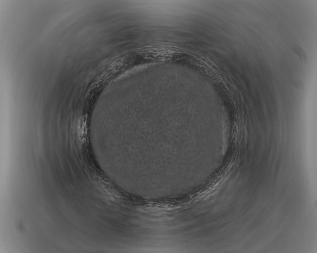 X0000115080818200911101501