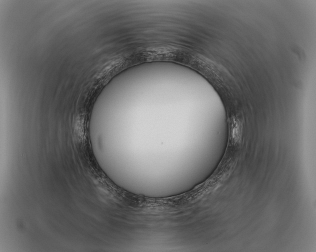X0000115080819200911101501