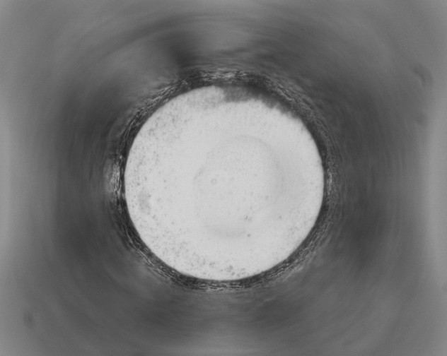 X0000115080820200911101501