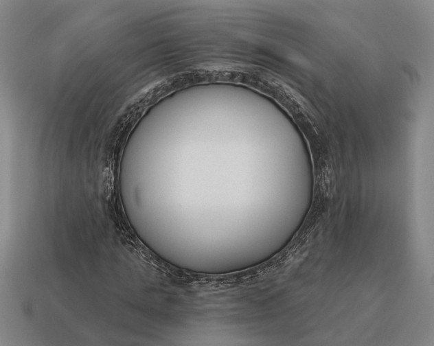 X0000115080821200911101501