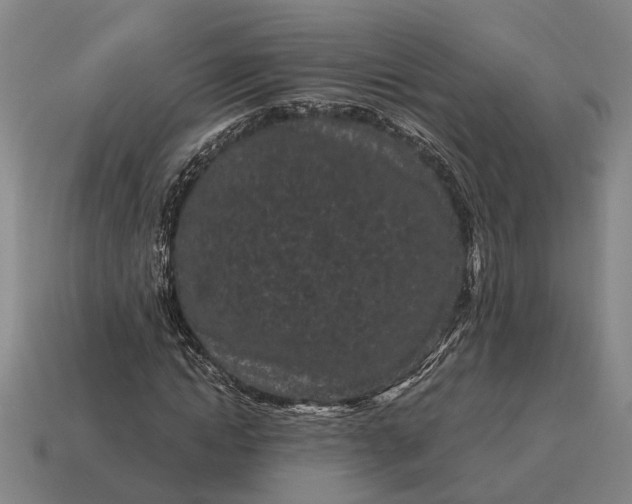 X0000115080822200911101501