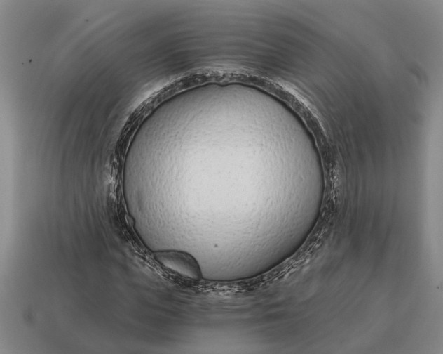 X0000115080823200911101501