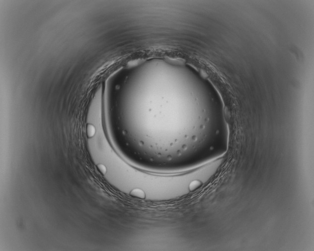 X0000115080824200911101501