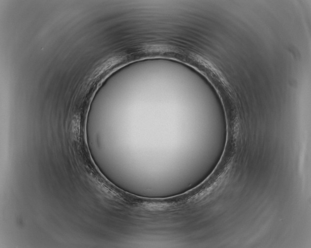 X0000115080825200911101501