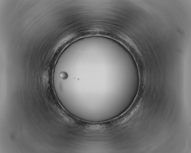 X0000115080826200911101501