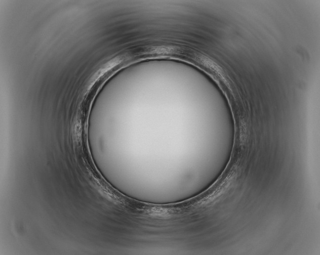 X0000115080827200911101501