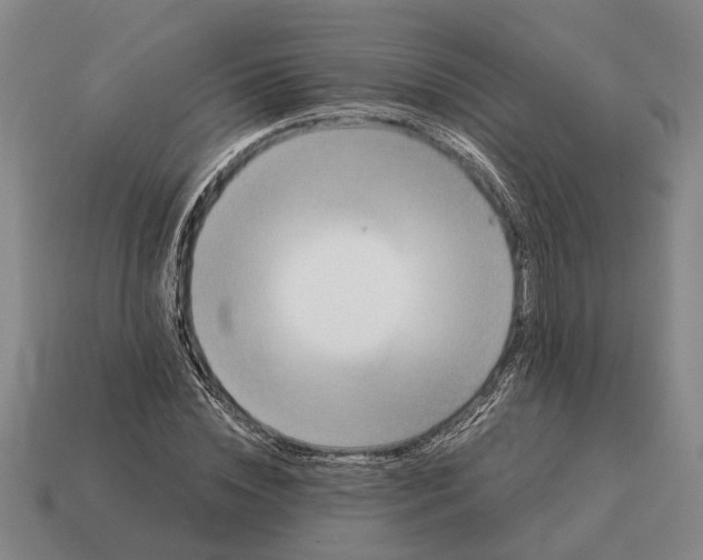 X0000115080828200911101501